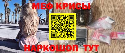 молекула духа Кингисепп