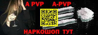 молекула духа Кингисепп