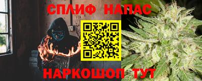 молекула духа Кингисепп
