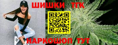 молекула духа Кингисепп