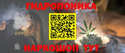 a pvp Кимры