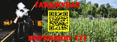 молекула духа Кингисепп