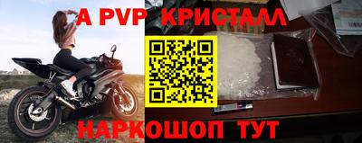 молекула духа Кингисепп