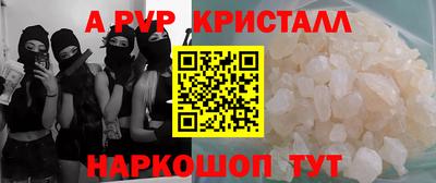 молекула духа Кингисепп