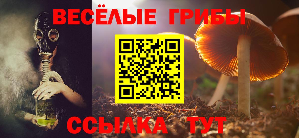 Псилоцибиновые грибы ЛСД  Вход с VPN  Галлюциногенные грибы ЛСД  как найти   Волгоград 